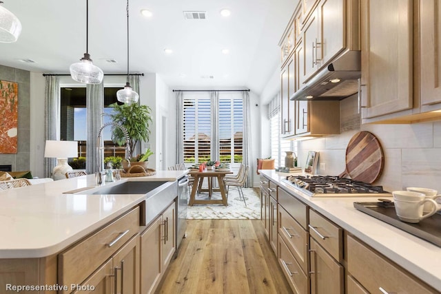 kitchen with sink, appliances with stainless steel finishes, hanging light fixtures, a kitchen island with sink, and light wood-type flooring