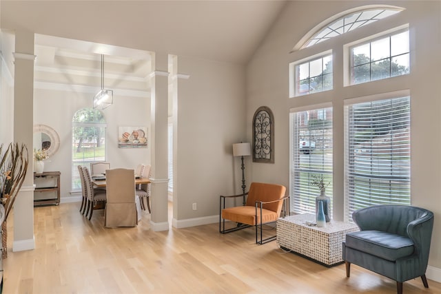 living area with a wealth of natural light, light hardwood / wood-style flooring, and decorative columns