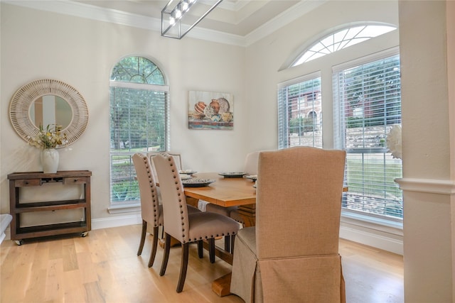 dining space with light wood-type flooring and crown molding