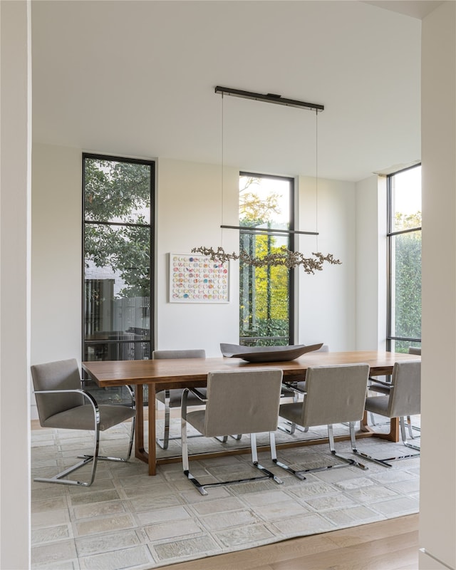 dining room featuring floor to ceiling windows and wood-type flooring