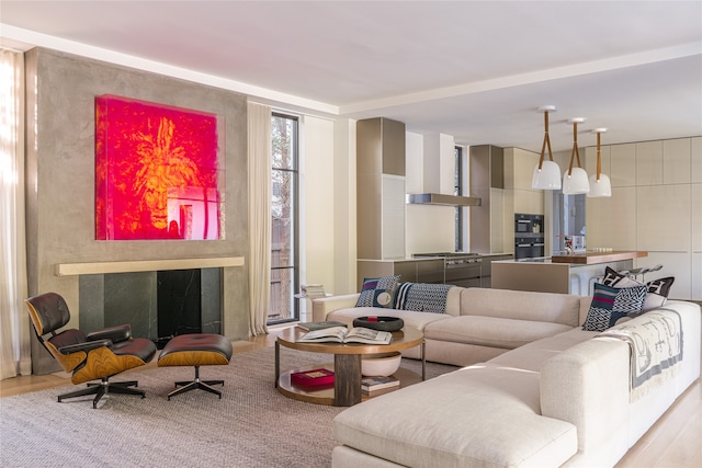 living room featuring light wood-type flooring