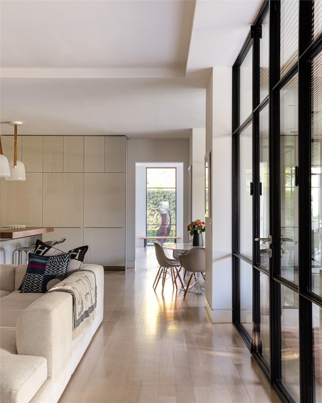 living room with french doors and light hardwood / wood-style flooring