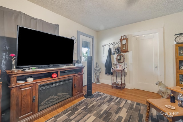 living room with hardwood / wood-style flooring and a textured ceiling