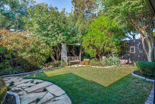 7009 Sharps Dr, Plano, TX 75025 - view of yard