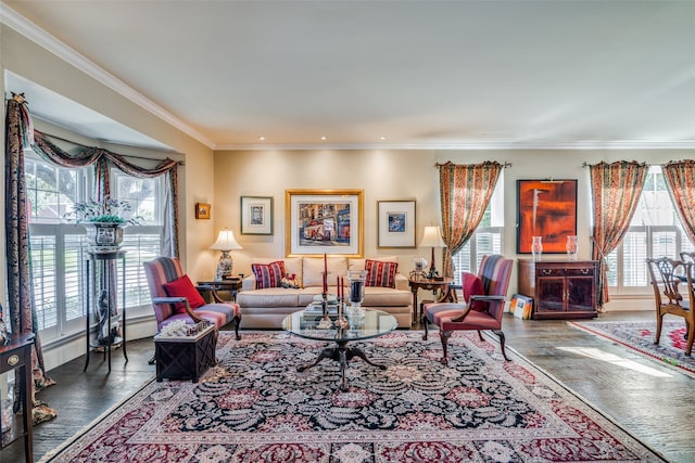 living room with a wealth of natural light and crown molding