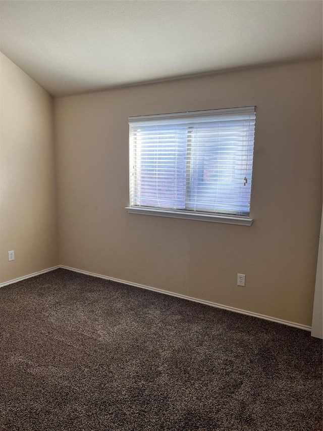 unfurnished room featuring carpet floors