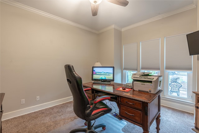 office featuring carpet floors, ceiling fan, and crown molding