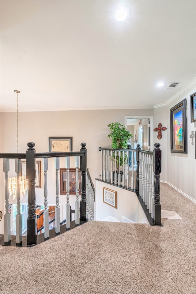 corridor featuring carpet flooring and ornamental molding