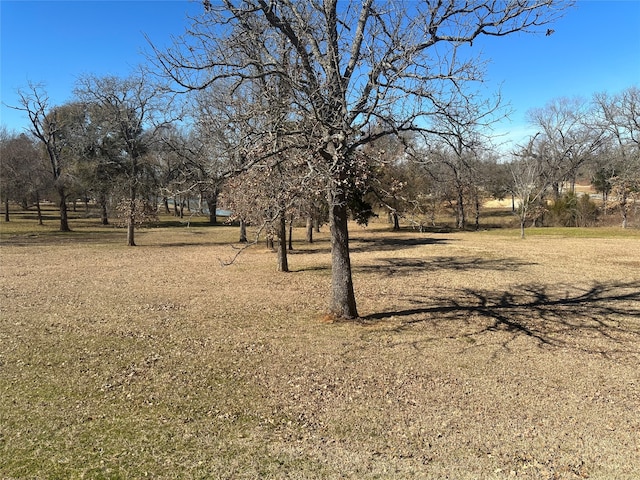 Listing photo 2 for 000 Jackson Cir, Kerens TX 75114