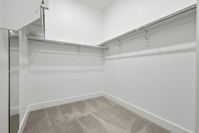 walk in closet with carpet floors