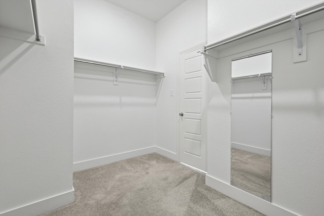 walk in closet featuring carpet flooring