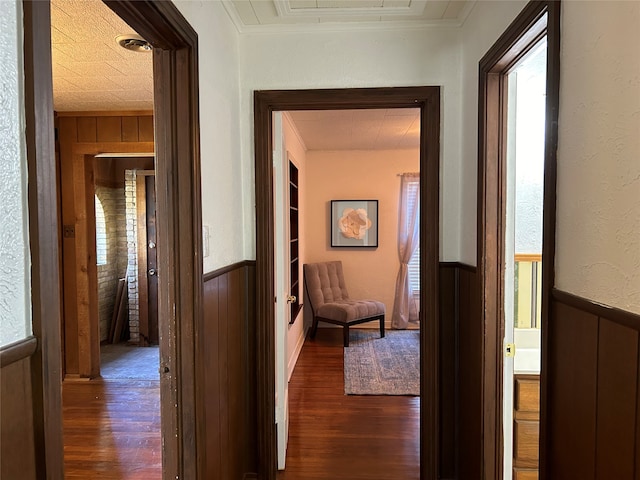 hallway featuring ornamental molding, dark hardwood / wood-style flooring, and wooden walls