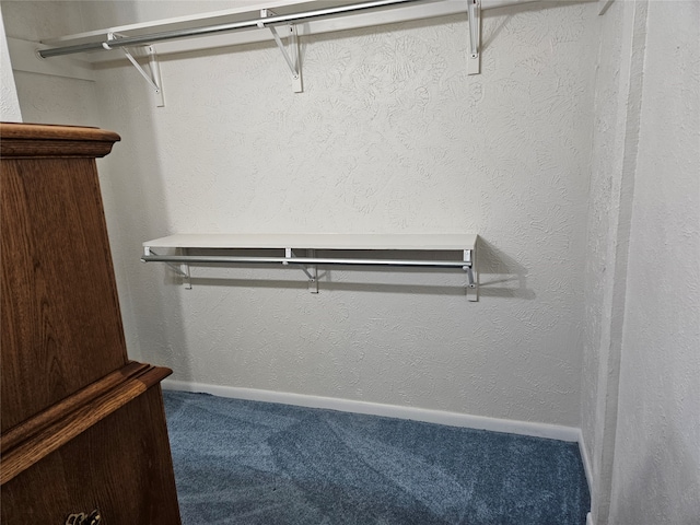 spacious closet featuring carpet flooring