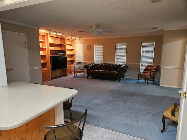 living room with carpet and a textured ceiling