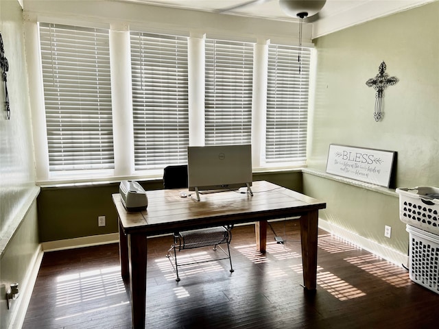 bedroom featuring dark hardwood / wood-style flooring