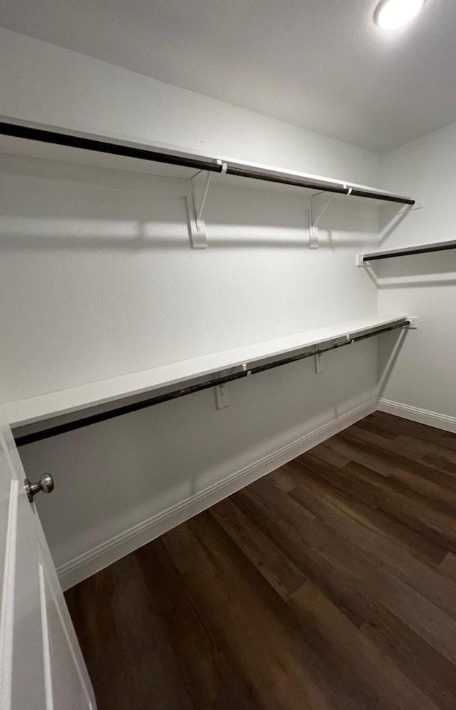 walk in closet with dark wood-type flooring