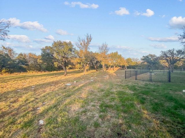 view of yard featuring a rural view