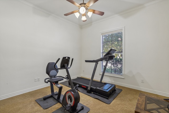 workout area with ornamental molding, carpet flooring, and ceiling fan