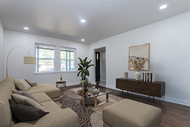 living room with dark wood-type flooring