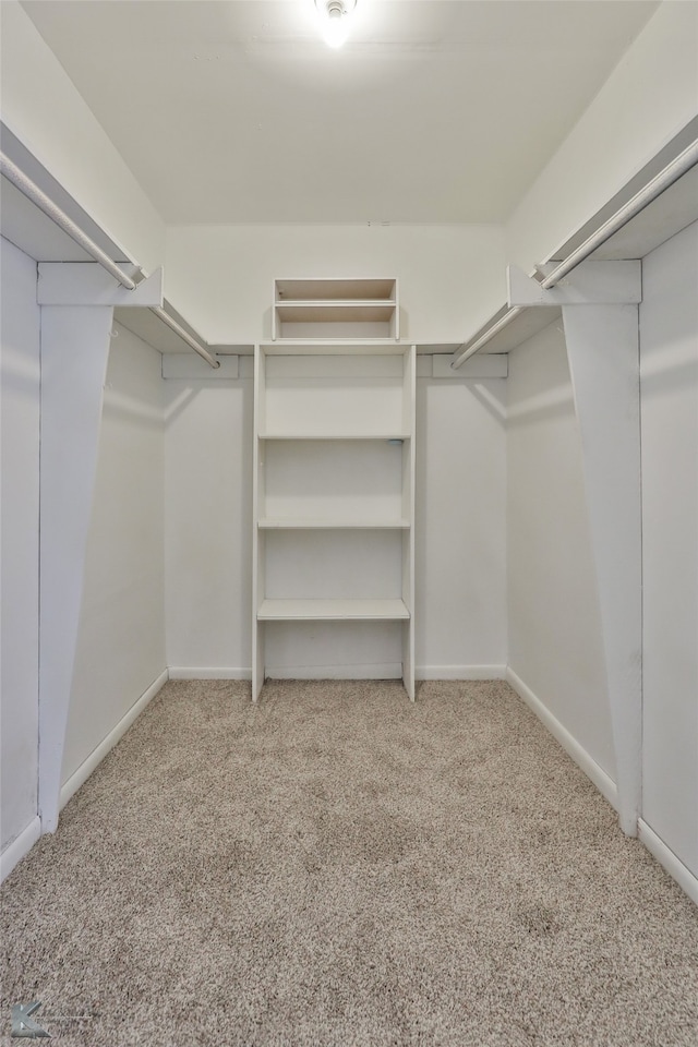 walk in closet featuring light carpet