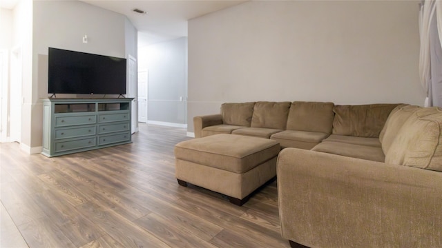 living room featuring wood-type flooring