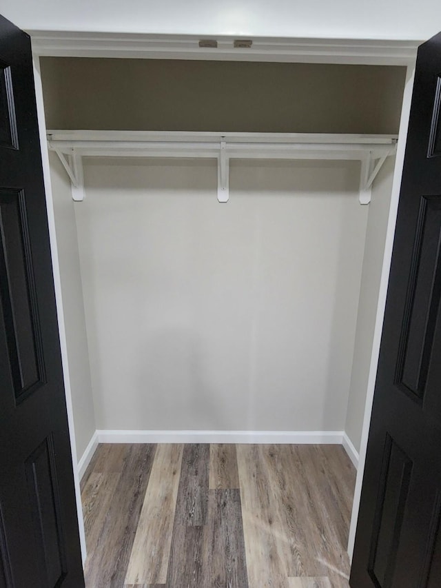 view of closet