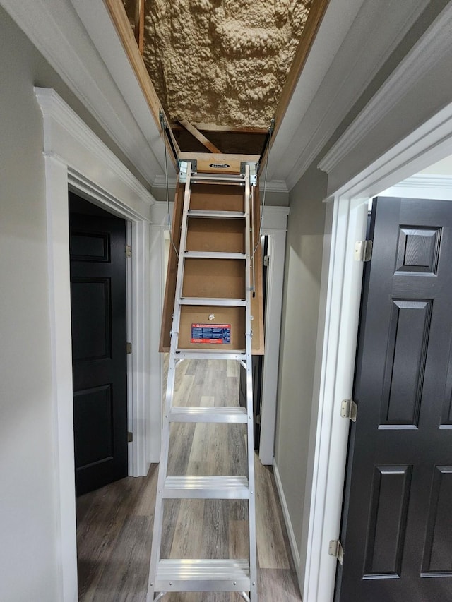 stairway featuring wood-type flooring and ornamental molding