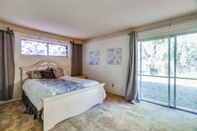 carpeted bedroom featuring multiple windows, a textured ceiling, and access to exterior