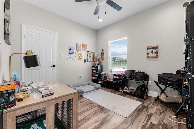 office space featuring wood-type flooring and ceiling fan