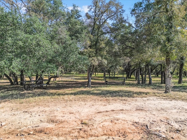 view of local wilderness