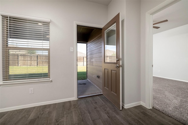 entrance foyer featuring dark hardwood / wood-style flooring