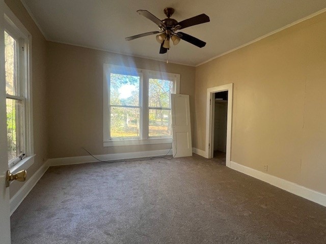 spare room with crown molding, carpet floors, and ceiling fan