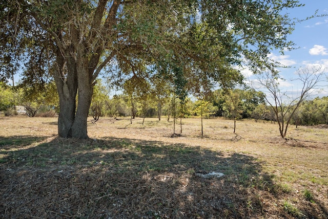 Listing photo 3 for TBD Lution Dr, Weatherford TX 76087