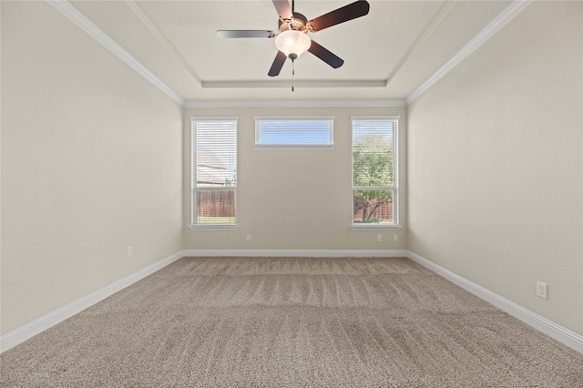 spare room with a raised ceiling, ceiling fan, carpet floors, and ornamental molding