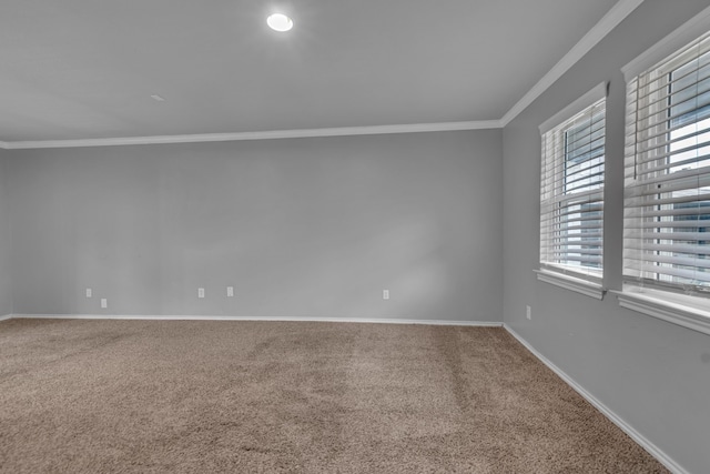 unfurnished room featuring carpet floors and ornamental molding