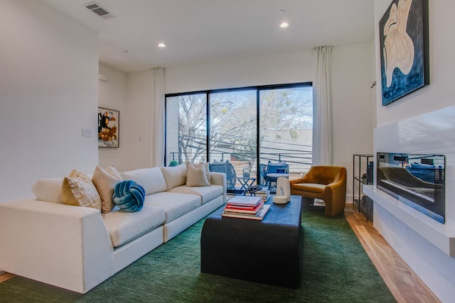 living room with hardwood / wood-style floors