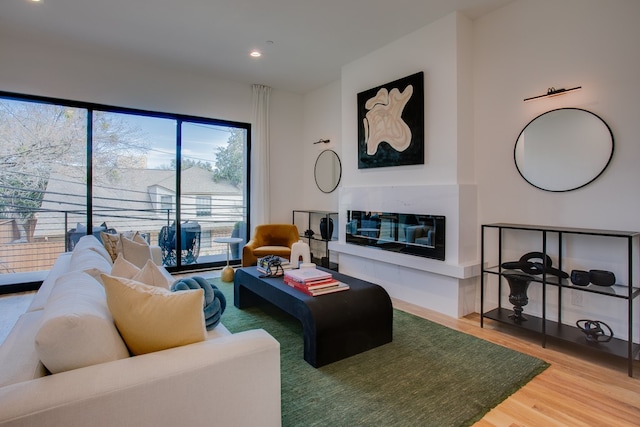 living room with wood-type flooring