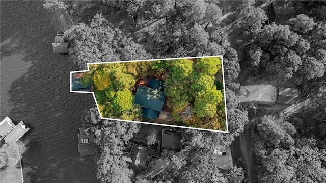 207 King Laurence Ct, Scroggins, TX 75480 - aerial view of property and surrounding area featuring a nearby body of water and property parcel outlined