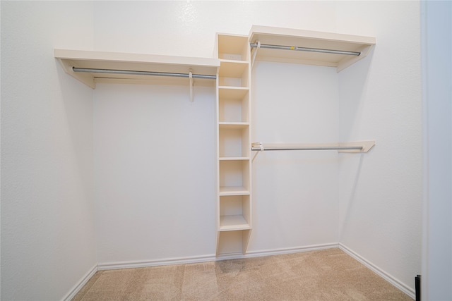 spacious closet with carpet