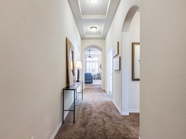 hall featuring a raised ceiling and carpet floors