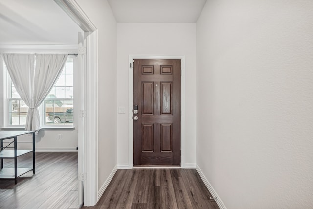 foyer with dark hardwood / wood-style floors