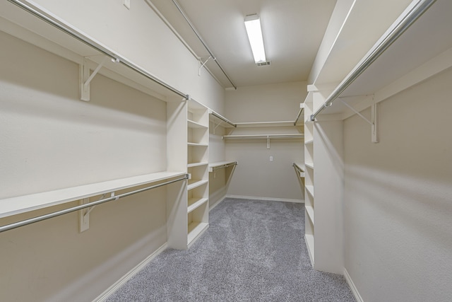 spacious closet featuring carpet floors