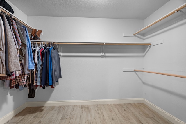 spacious closet with hardwood / wood-style floors