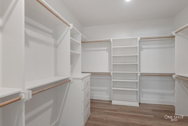 spacious closet featuring hardwood / wood-style flooring