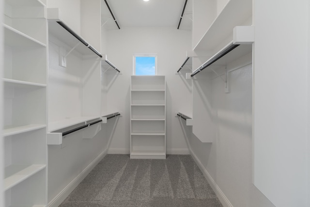 walk in closet with dark carpet