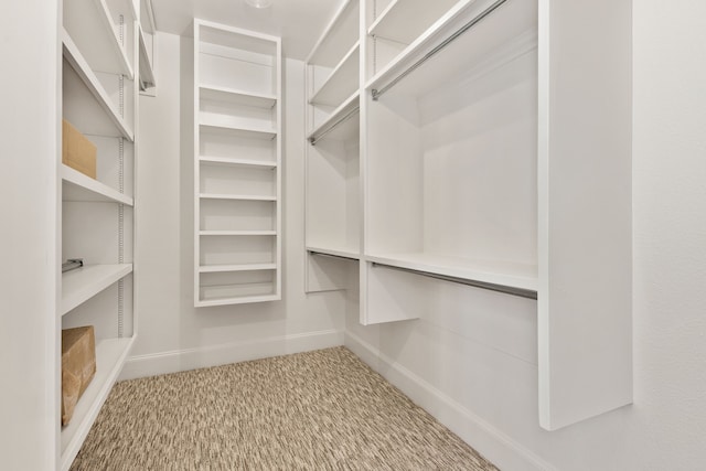 spacious closet with carpet flooring