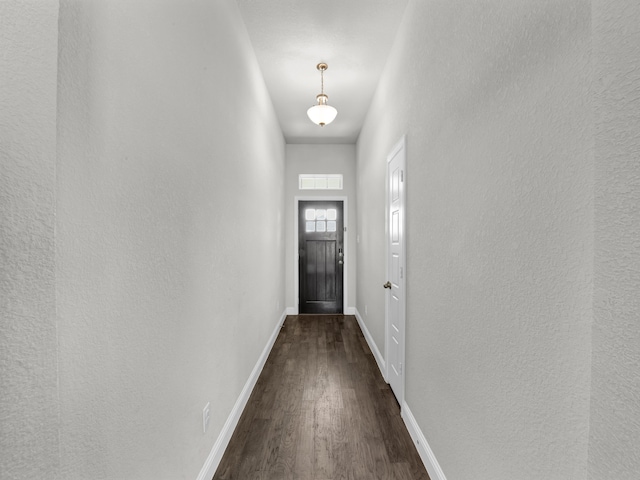 doorway to outside featuring dark wood-type flooring