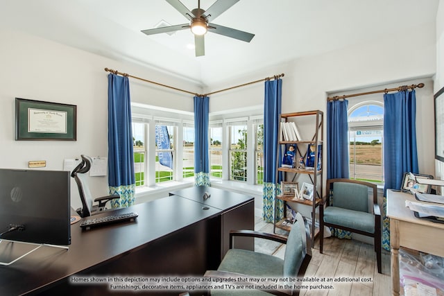 office space featuring ceiling fan, plenty of natural light, and light hardwood / wood-style flooring