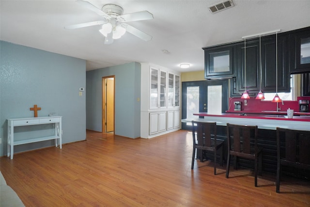 kitchen featuring ceiling fan, a healthy amount of sunlight, and light hardwood / wood-style floors