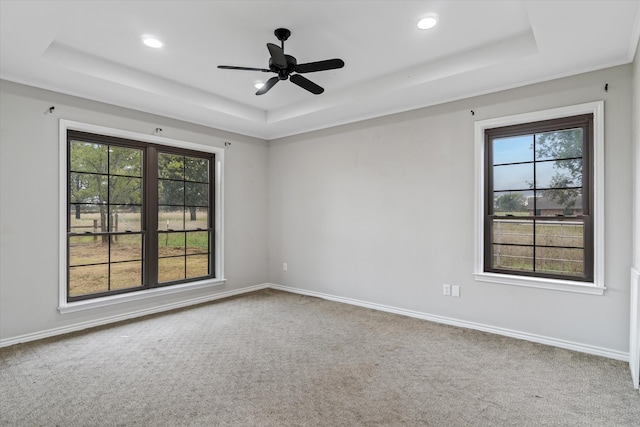 spare room with a healthy amount of sunlight, carpet floors, and a tray ceiling